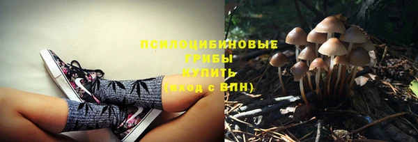 наркотики Вяземский