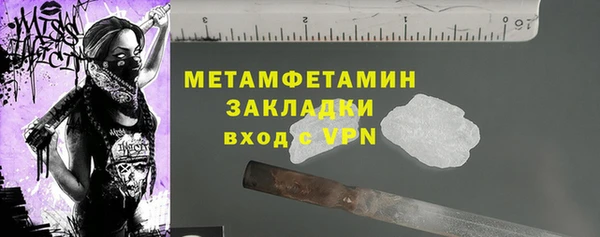 гидра Вязьма
