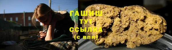 индика Володарск