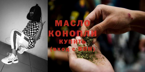 индика Володарск