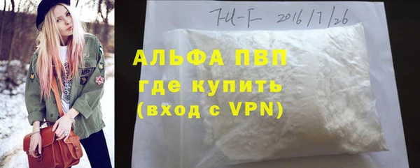индика Володарск