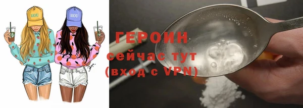 индика Володарск