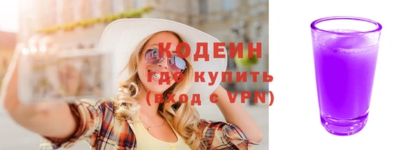 индика Володарск