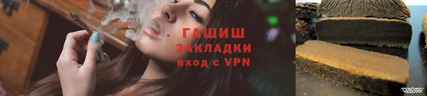 индика Володарск