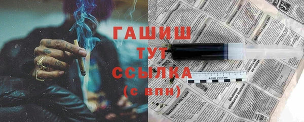 гидра Вязьма